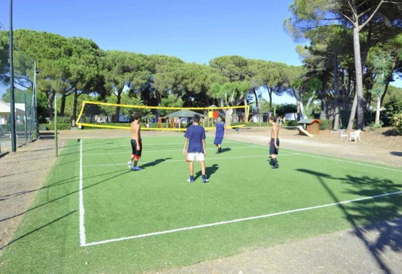 Курорт Apartment Type D