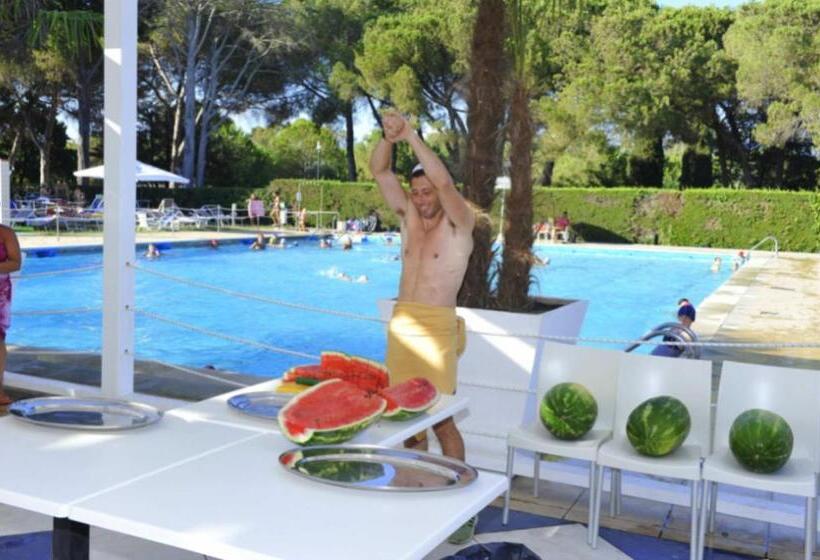 Курорт Apartment Type D