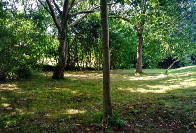 הוסטל Trisileja En Novales