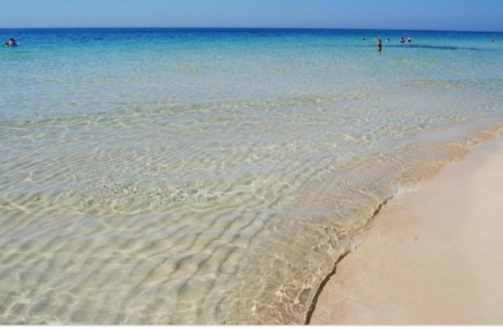 住宿加早餐  Domus Del Borgo Antico