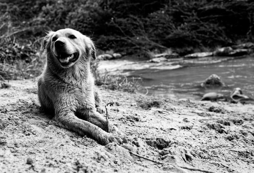 El Refugio Hostel Curití