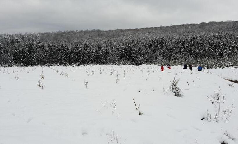 בית מלון כפרי L'avenue