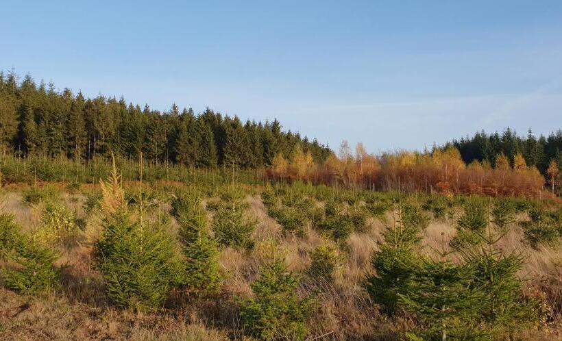 בית מלון כפרי L'avenue