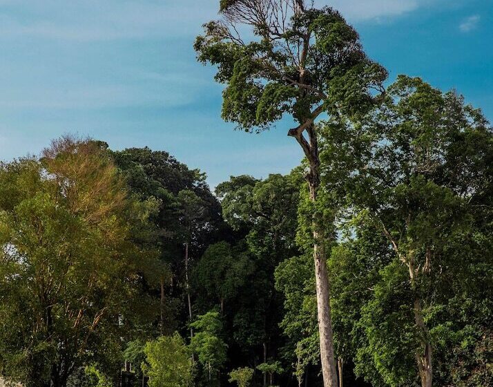 فندق One&only Desaru Coast