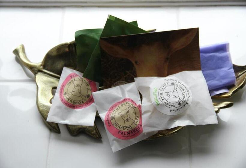 مبيت وإفطار Thistleyhaugh Farmhouse