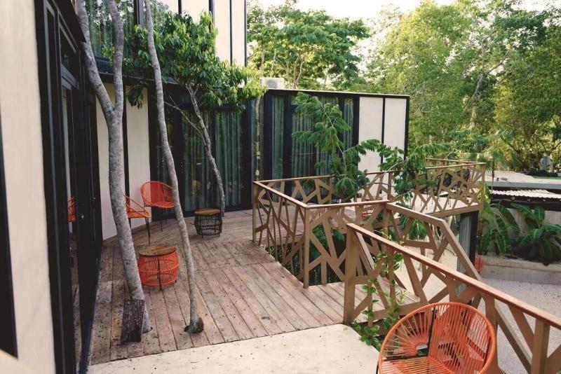 هتل Bufo Alvarius