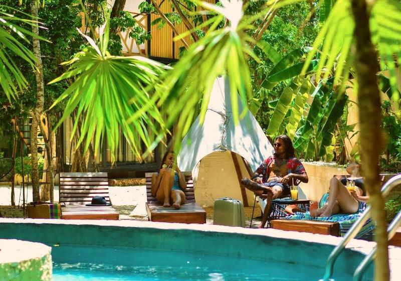 هتل Bufo Alvarius