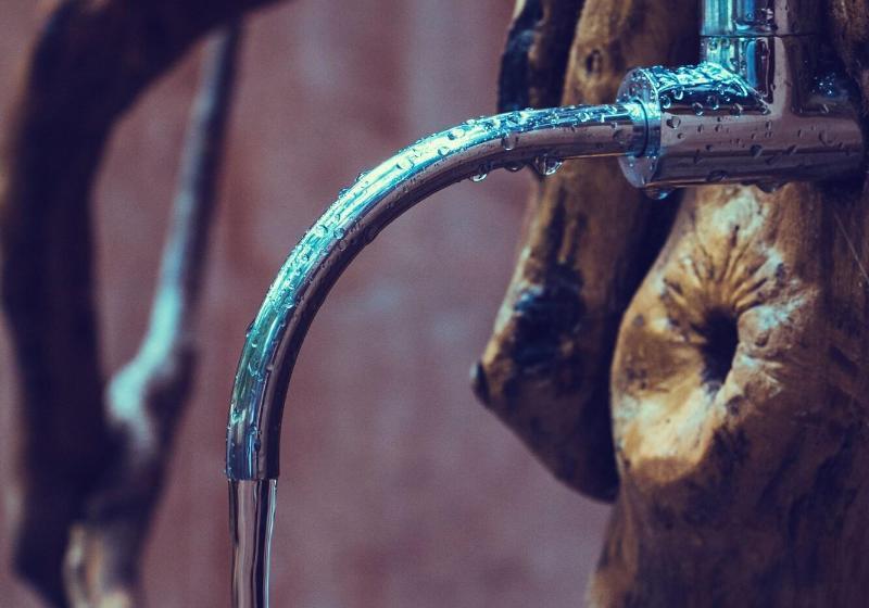 هتل Bufo Alvarius