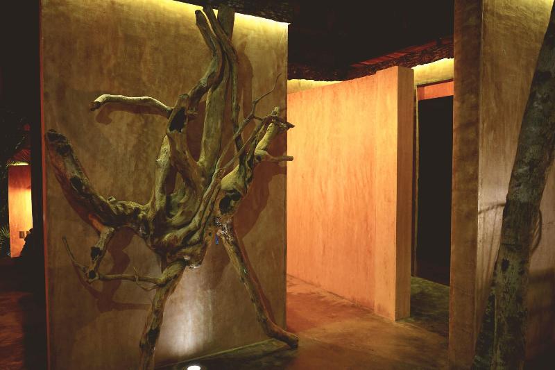 هتل Bufo Alvarius