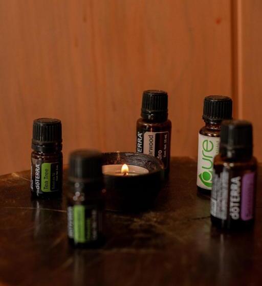 هتل Bufo Alvarius