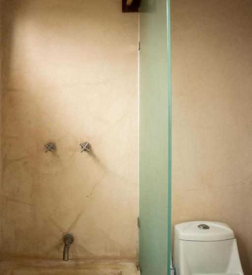 هتل Bufo Alvarius