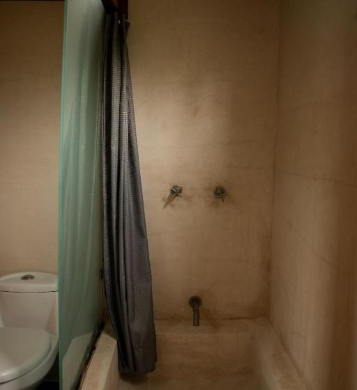 هتل Bufo Alvarius