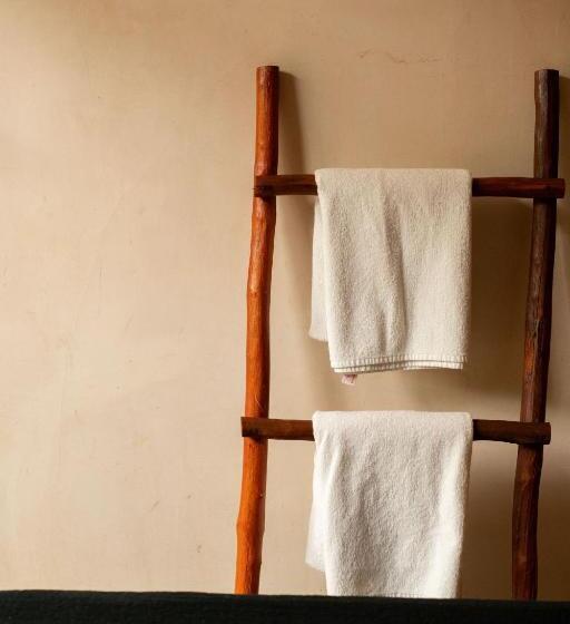 هتل Bufo Alvarius