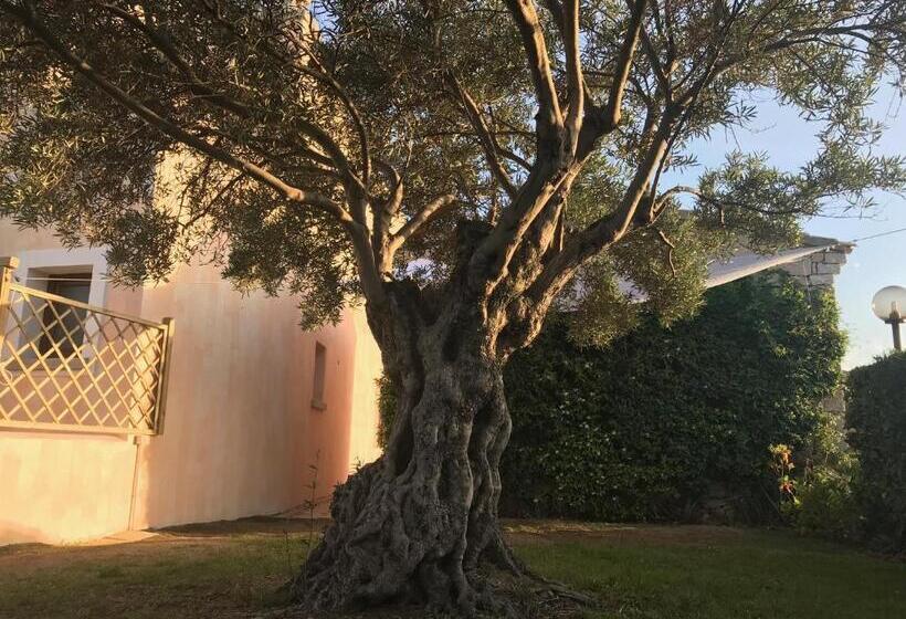 בית מלון כפרי Esmeralda Ss