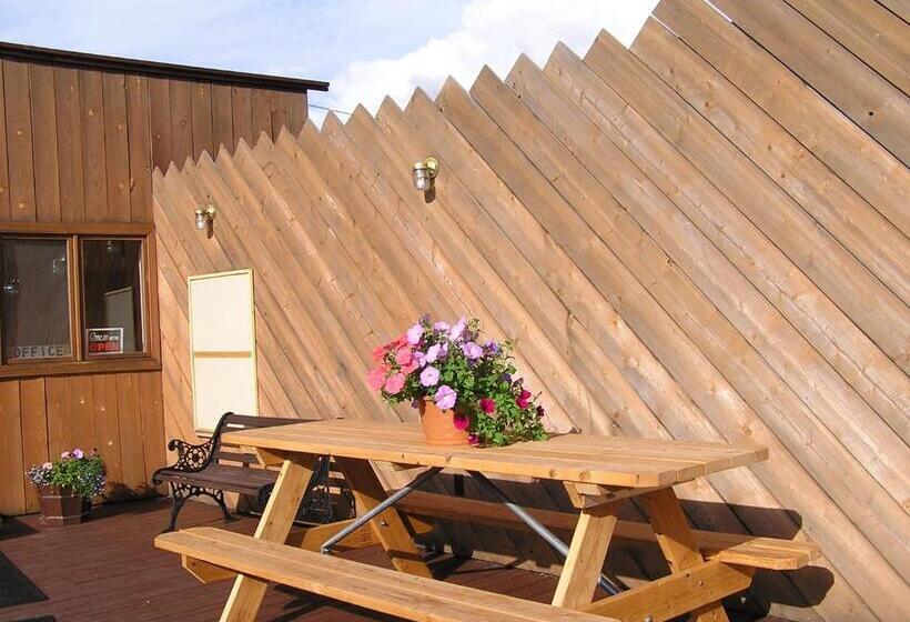 فندق White Moose Lodge