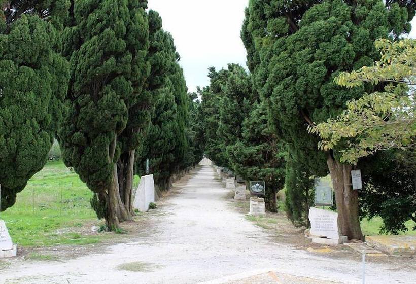 La Dimora Di Segesta B&b