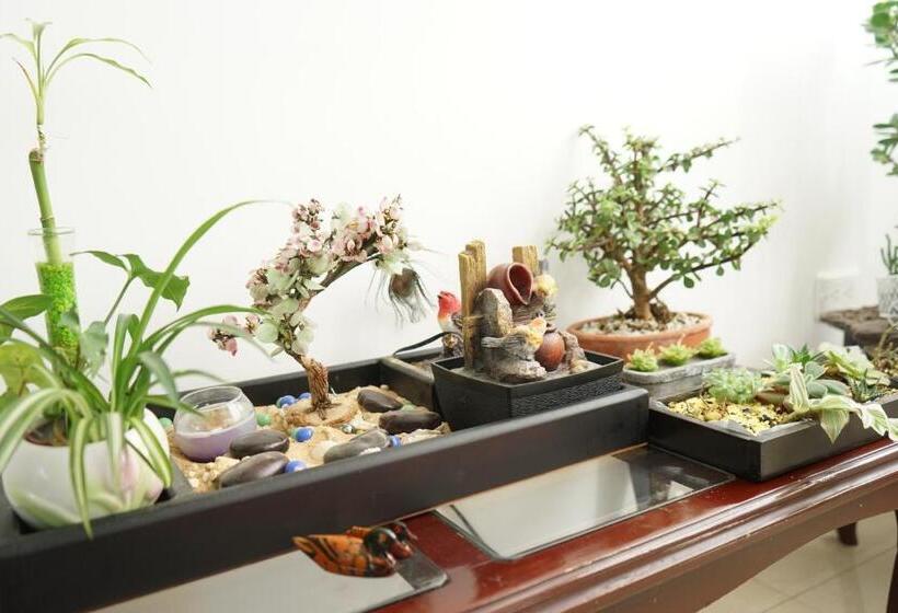 Пансион Posada Ventura