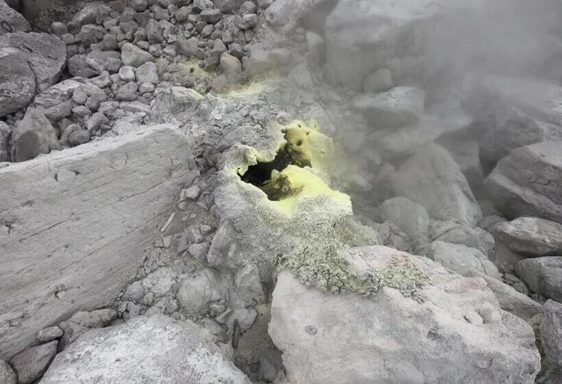 Пансион Wisma Sibayak Guesthouse Berastagi