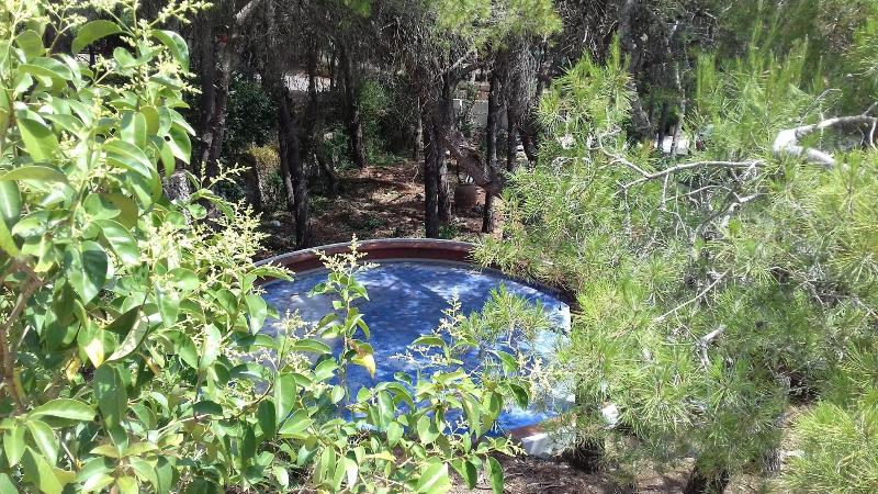 مبيت وإفطار Dimora Villa Serena Porto Selvaggio