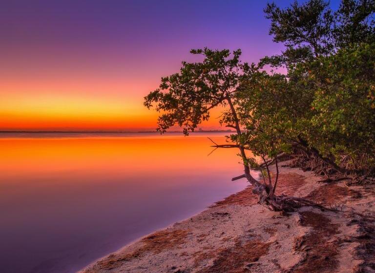 فندق Seahorse Beach Bungalows