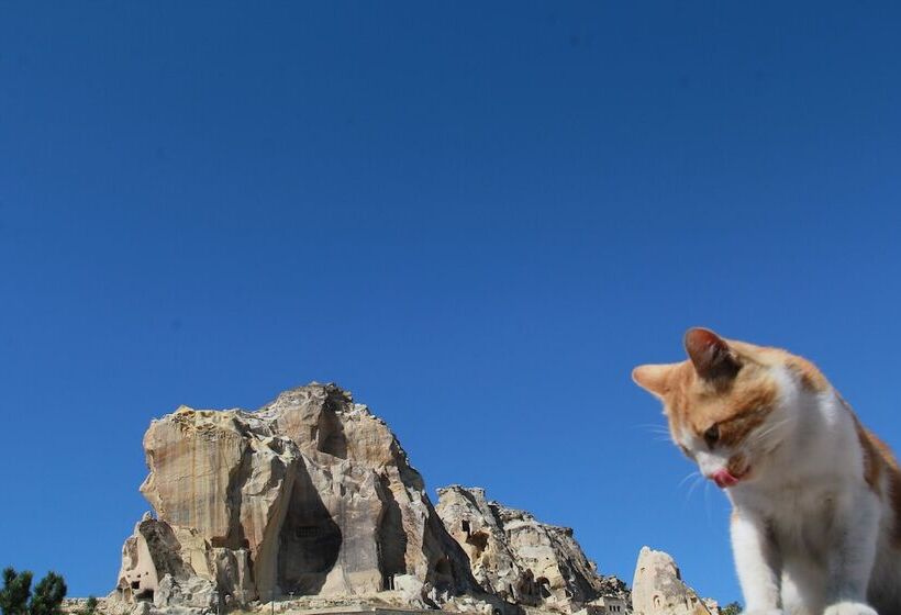 호텔 Tafana Cave & Stone Lodge