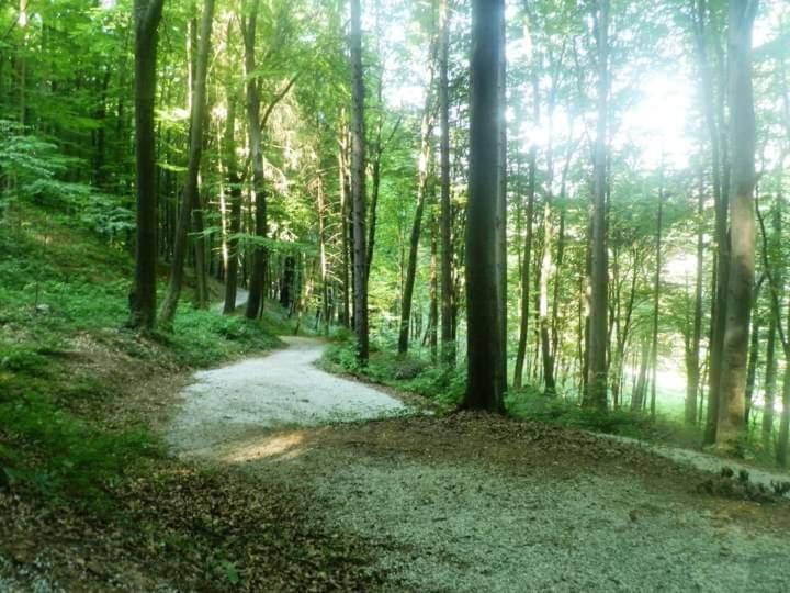 پانسیون Apartmani Ramonda