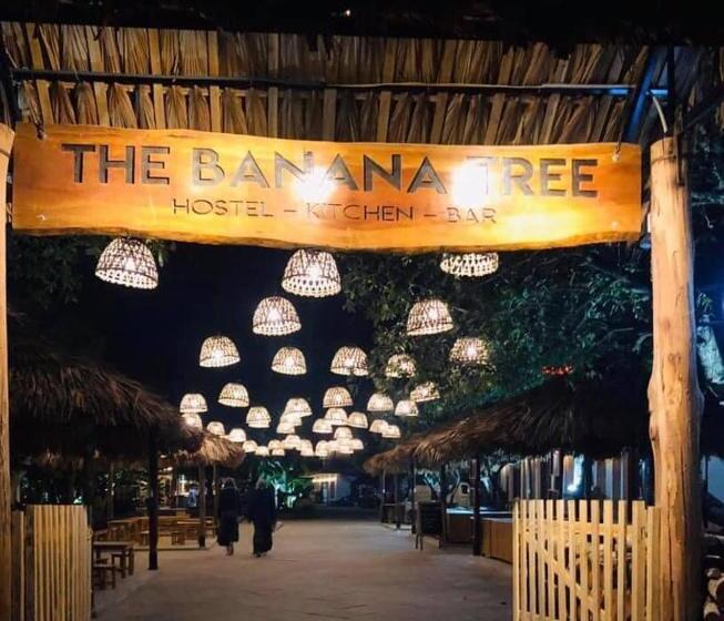 The Banana Tree Hostel