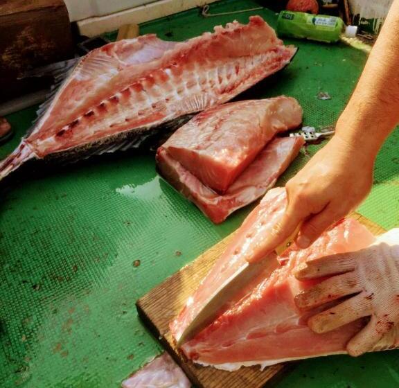 בית מלון כפרי Yoron Tandy House