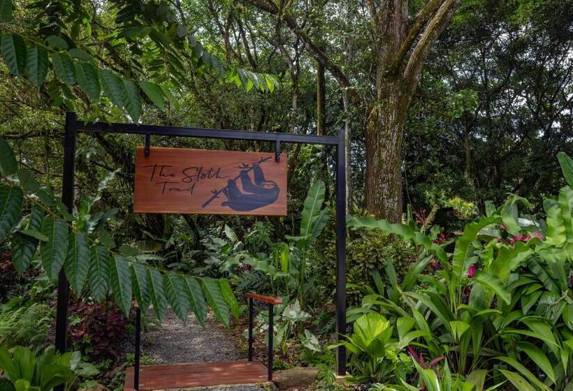 Noah S Forest Hotel By Tifakara