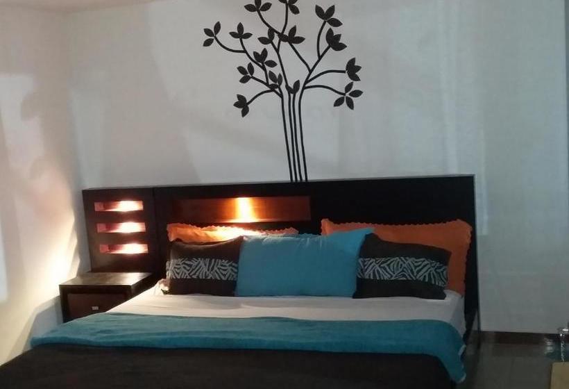 هاستل El Mochilero