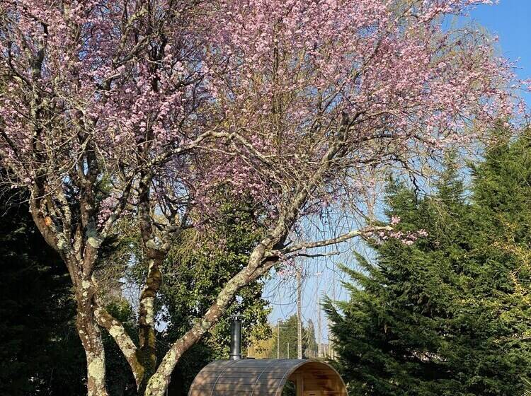 مبيت وإفطار La Demalerie