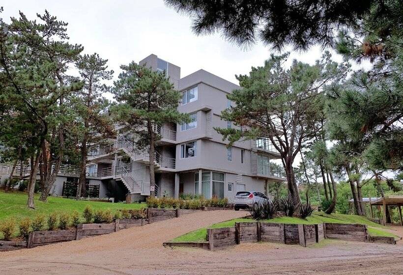 Casiopea Apart Spa Mar