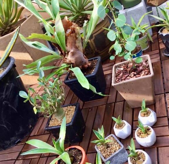 Django Hostel & Lounge