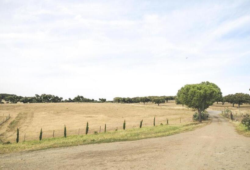 בית מלון כפרי Casas Da Faia   Nature Guest House