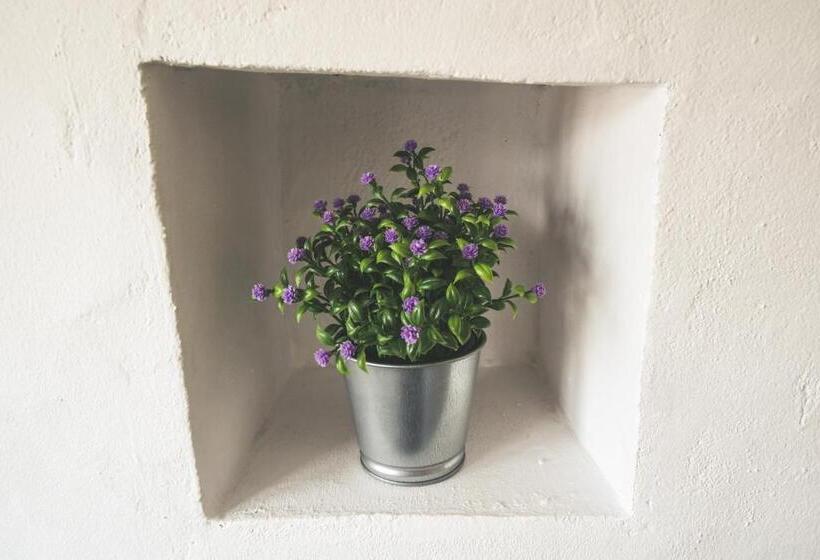 בית מלון כפרי Casas Da Faia   Nature Guest House