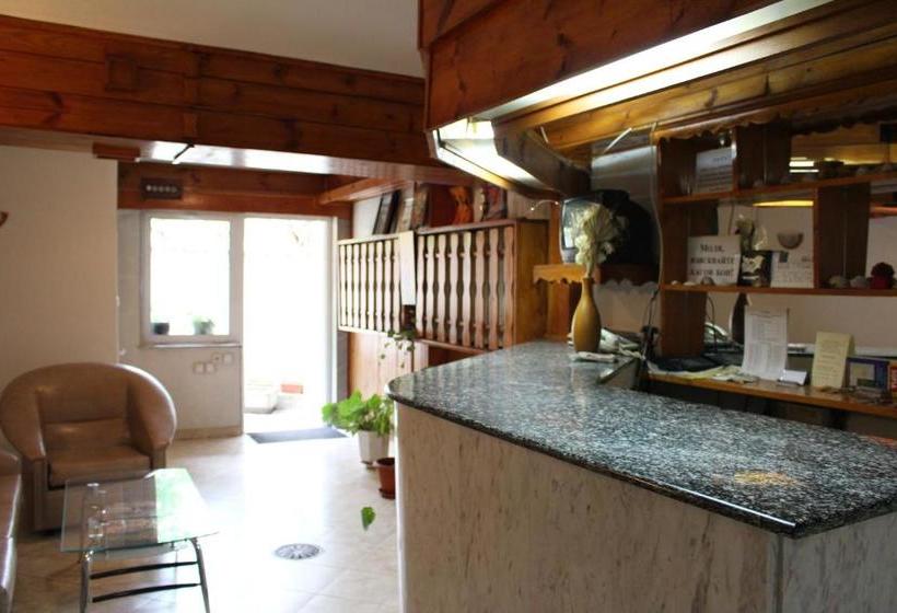 酒店 International