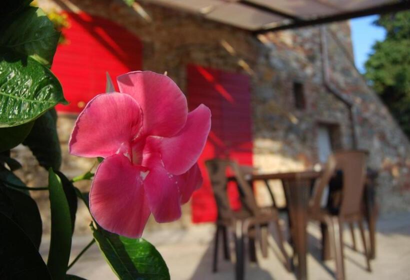 ホテル Villa Sara