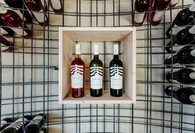 بنسيون Suite 106