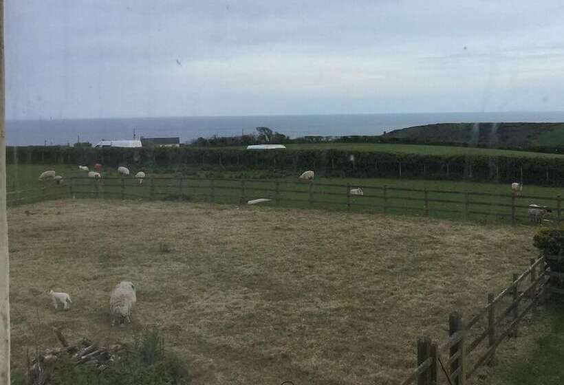 The Burrows Bed And Breakfast