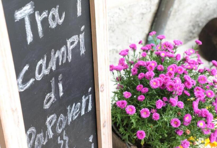 تختخواب و صبحانه Tra I Campi Di Papaveri