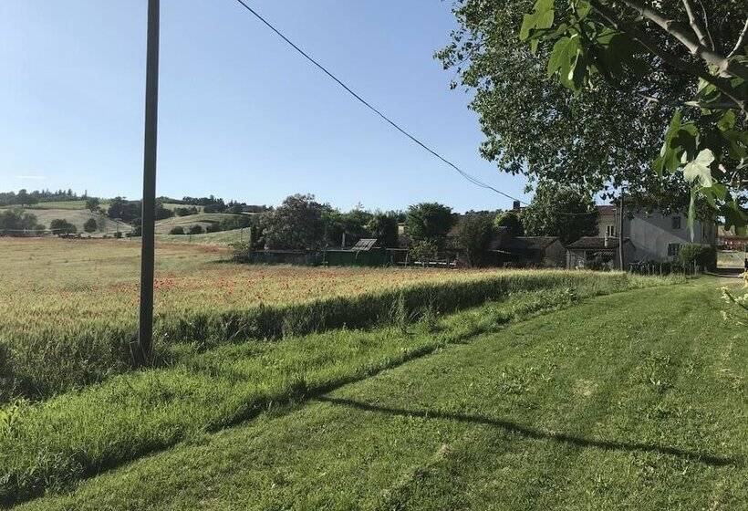 تختخواب و صبحانه Tra I Campi Di Papaveri