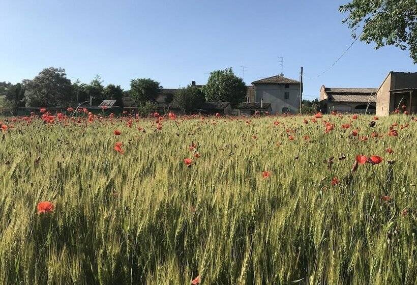 تختخواب و صبحانه Tra I Campi Di Papaveri