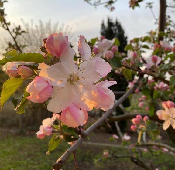 בית מלון כפרי Gästehaus & Café Leeze