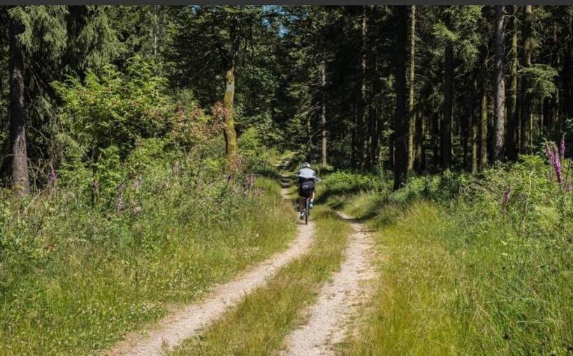 فندق Restaurant Zum Landmann