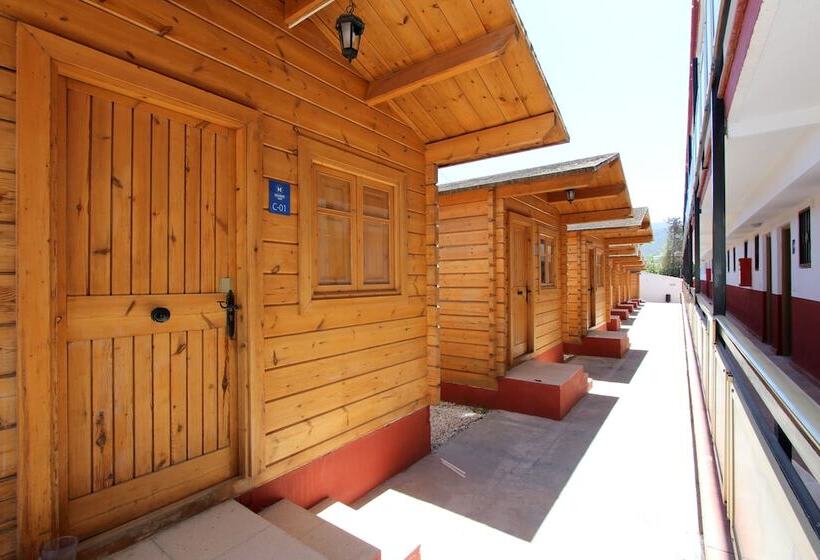 Apartamentos Palasiet