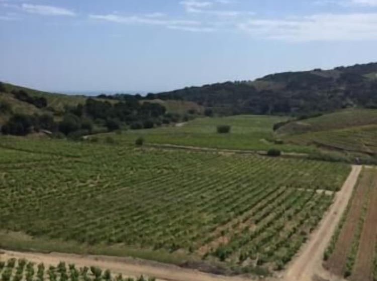 Bed and Breakfast Les Cabanons De Mémé Jeannette