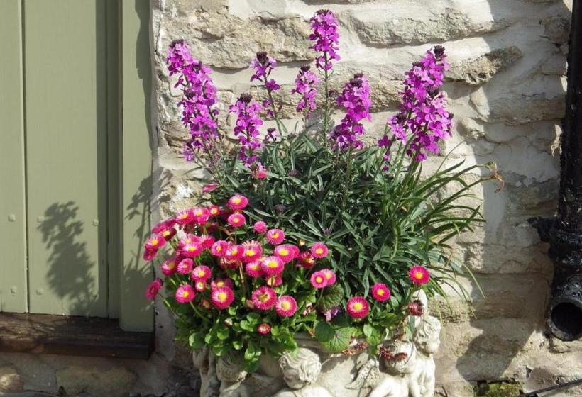 مبيت وإفطار Pond Farm