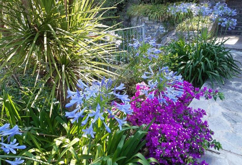 مبيت وإفطار Villa Albachiara