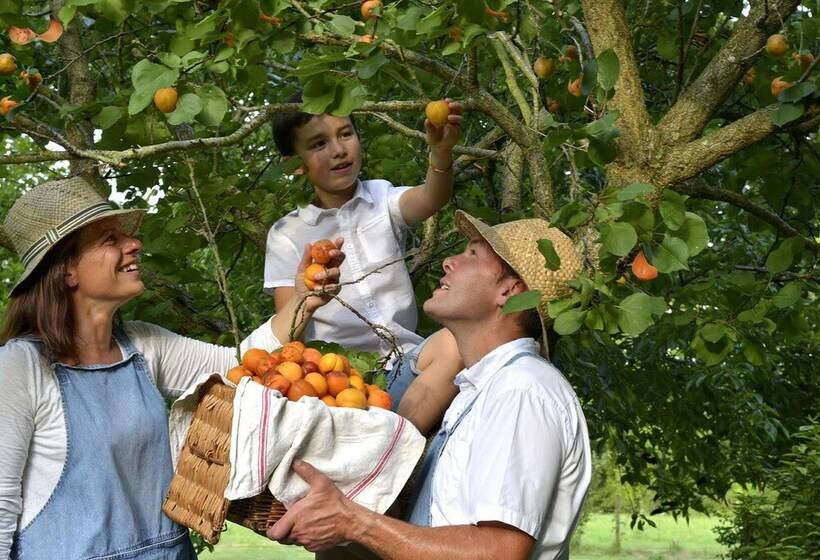 호텔 Château Saint Gilles   Bayeux