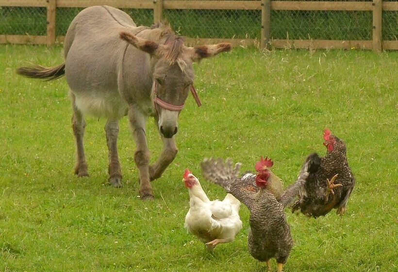 호텔 Château Saint Gilles   Bayeux